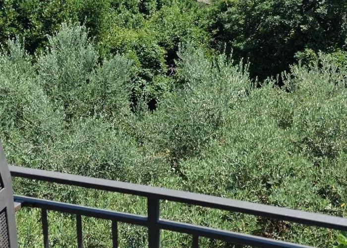 Cinema House Single & Double & Гостевой дом