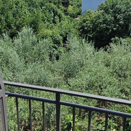 Cinema House Single & Double & 招待所